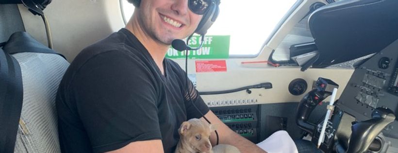 Wings of rescue