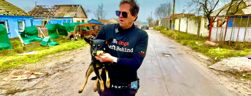 No Dogs Left Behind