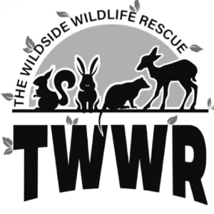 The Wildside Wildlife Rescue Logo
