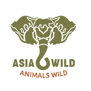 Asia Wild Logo