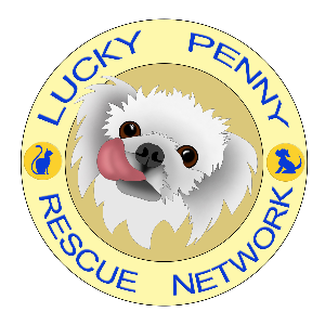 Lucky Penny Rescue Network Inc