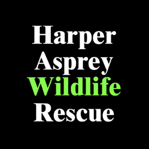 Harper Asprey Wildlife Rescue Logo