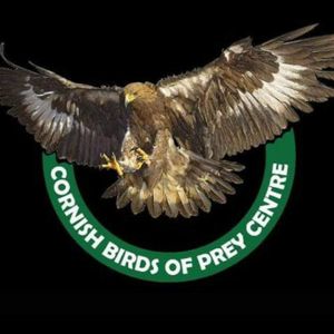 Cornish Birds of Prey CIC