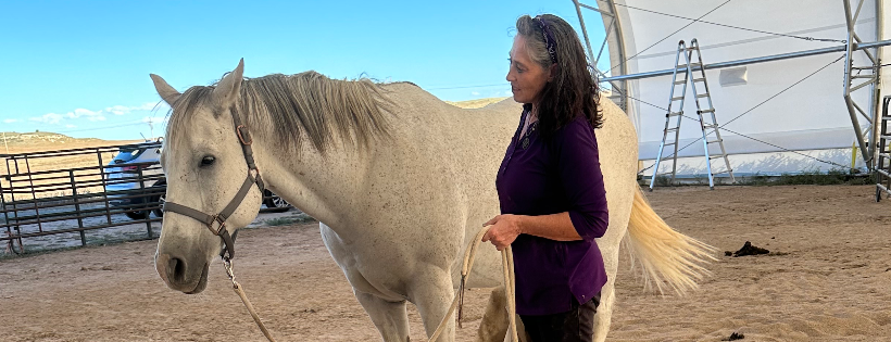 Wardog Ranch Reins of Change
