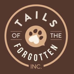 Tails of the forgotten INC Logo