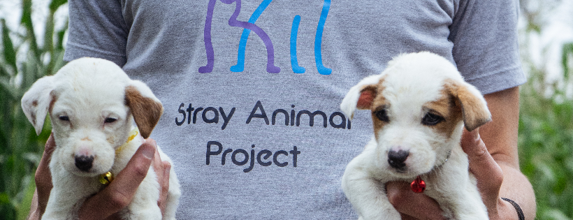 Stray Animal Project
