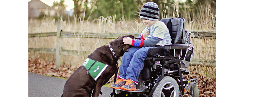 Summit Assistance Dogs