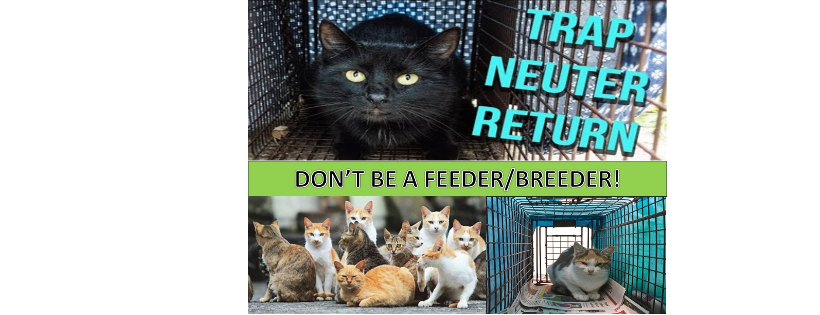 For Every Rescue A Life Saved (FERALS)