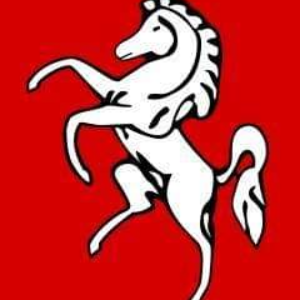 Kent Horse Rescue Charity