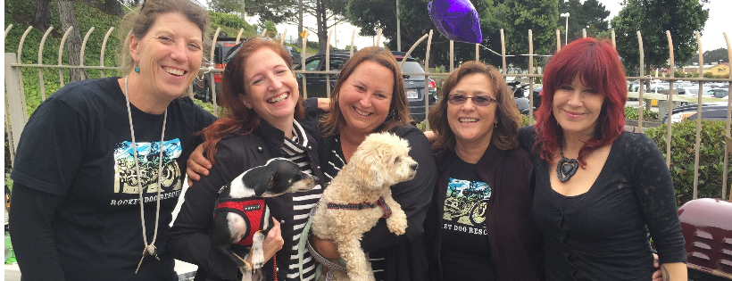 Rocket Dog Rescue