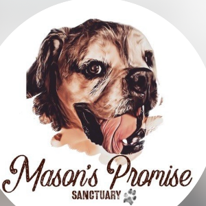 Masons promise sanctuary