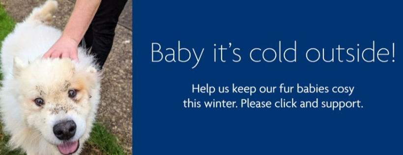 RSPCA Isle of Wight