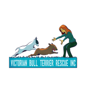 Victorian Bull Terrier Rescue Inc
