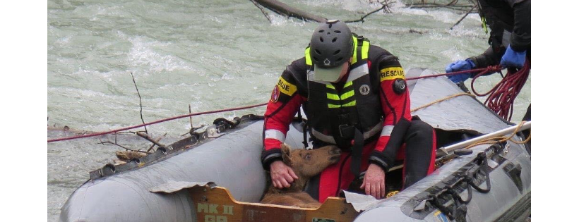 ALASKA DIVE SEARCH RESCUE AND RECOVERY TEAM