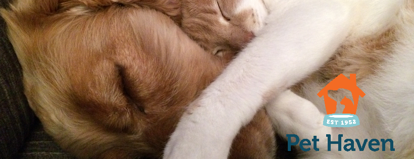 Pet Haven, Inc. of MN