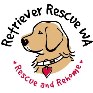 Retriever Rescue WA