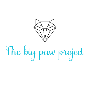The Big Paw Project