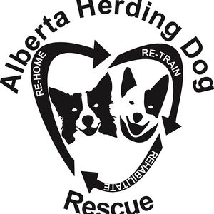 Alberta (AB) Herding Dog Rescue Logo
