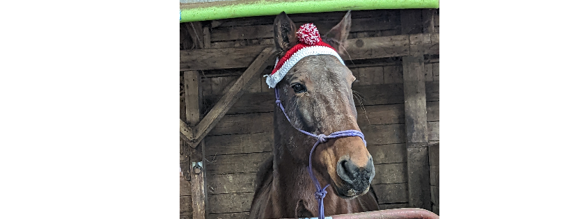 IN-Stride with Therapeutic Riding, Inc.