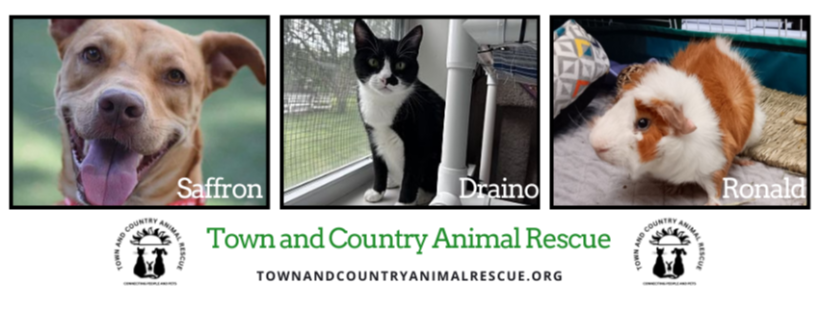 Town and Country Animal Rescue