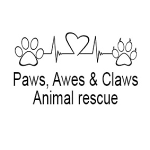 Paws, Awes & Claws Logo