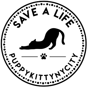Puppy Kitty NY City Inc. Logo