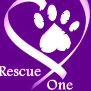 Rescue One