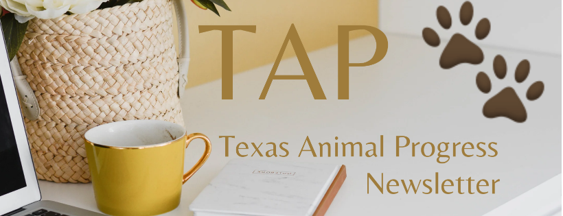 TAP Newsletter