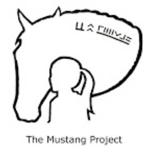 The Mustang Project, Inc