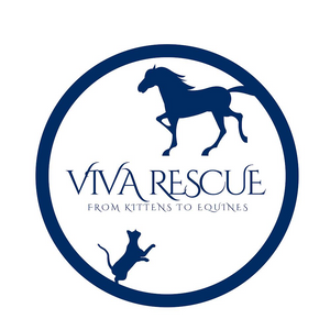 Viva rescue inc Logo