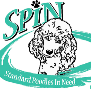 Standard Poodles In Need (SPIN) Logo