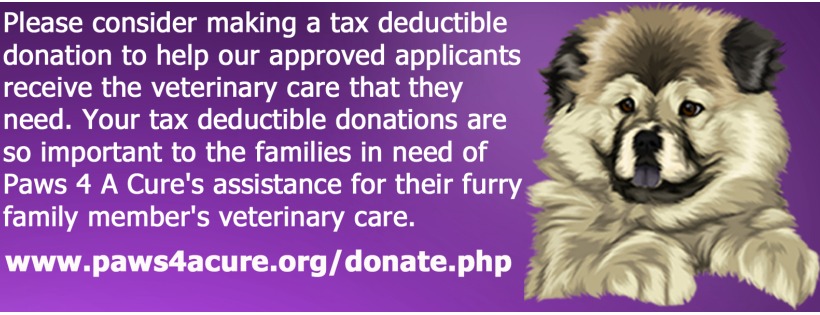 Paws 4 A Cure
