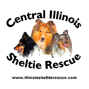 Central Illinois Sheltie Rescue Logo