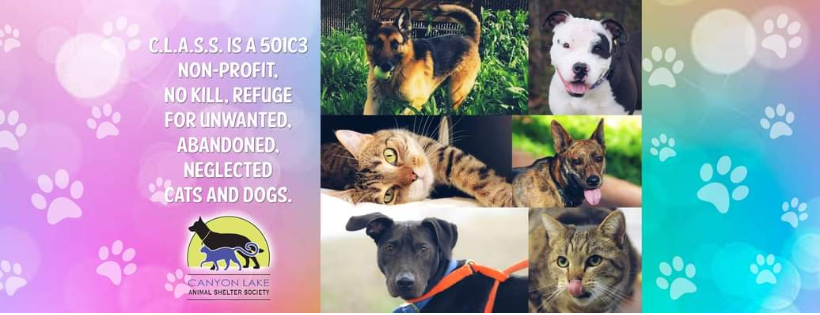 Canyon lake animal shelter