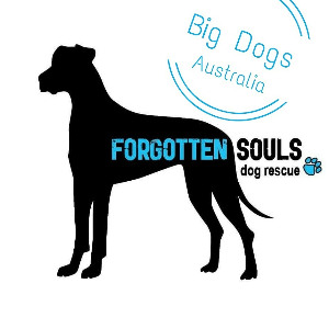 Forgotten Souls Dog Rescue Logo