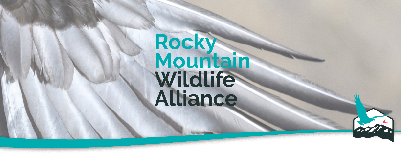 Rocky Mountain Wildlife Alliance