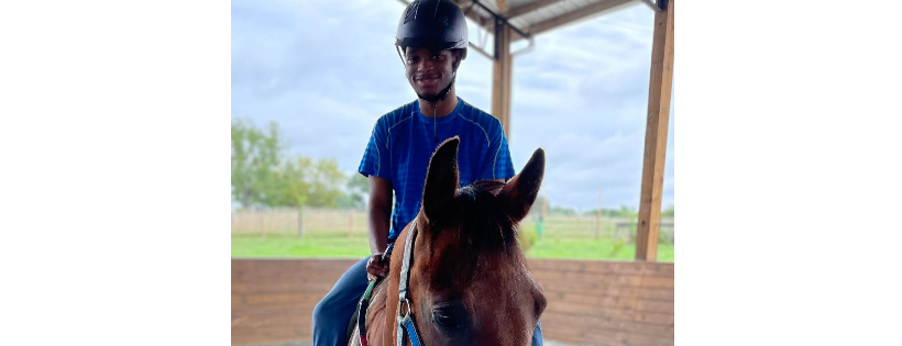 Wild Hearts Equine Therapeutic Center