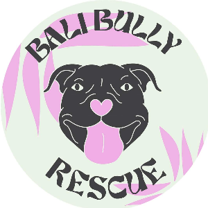 BaliBullyRescue