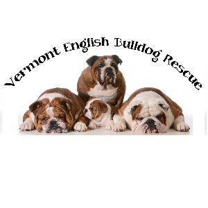 Vermont English Bulldog Rescue Logo