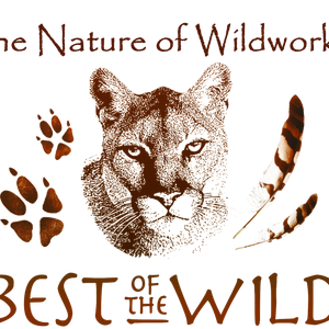 The Nature of Wildworks Logo