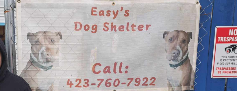 Easy's Dog Shelter