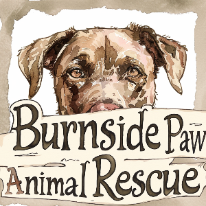 Burnside Paws Animal Rescue Logo