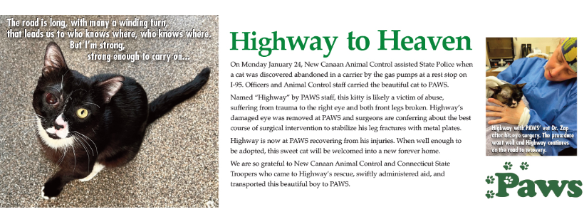 Pet Animal Welfare Society of CT (PAWS)