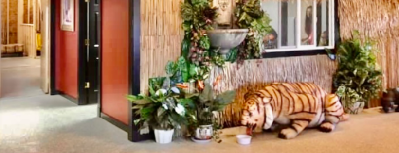 Jim Beam’s Corner Cattery