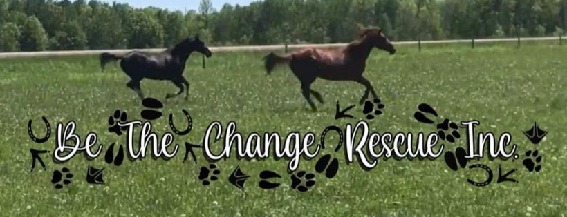 Be the Change Rescue Inc