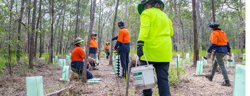 Friends of lagoon creek group