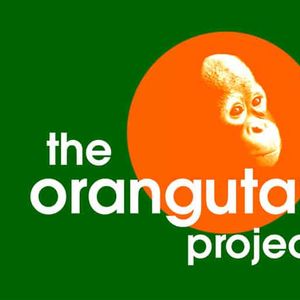 The Orangutan Project Logo