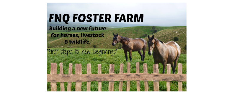 FNQ Foster Farm Inc.