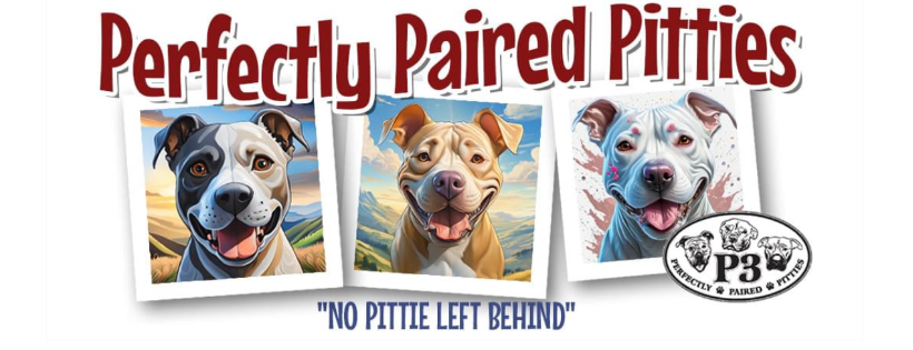 Perfectly paired pitties p3