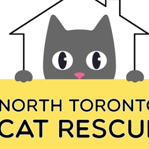 North Toronto Cat Rescue Logo